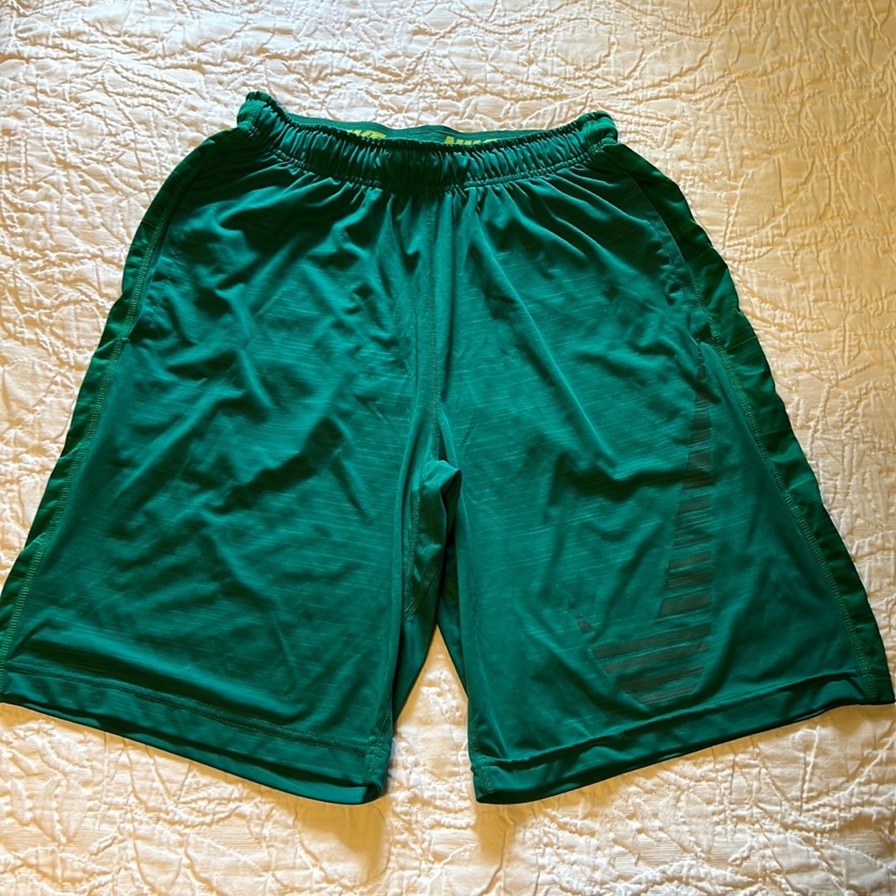 Nike Dry Fit Shorts